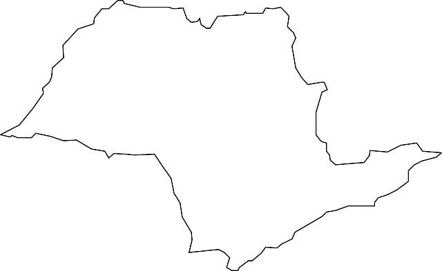 São Paulo vektör harita