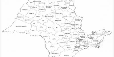 São Paulo bakire haritası - mikro-bölgeler